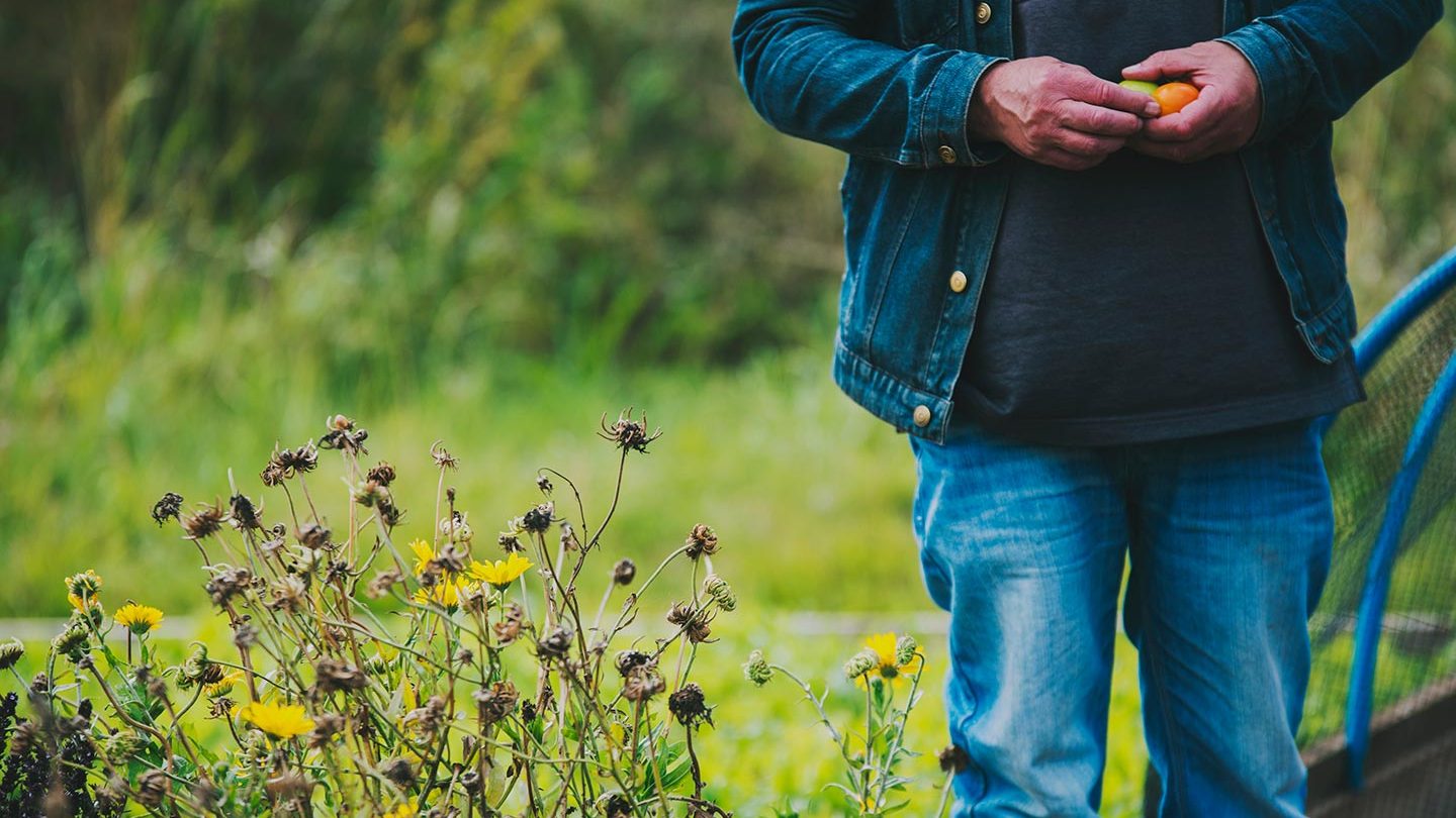 Walking in nature