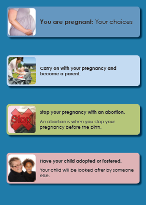 pregnancy guide